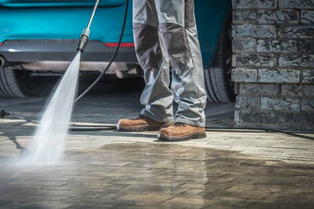 Best Building Exterior Washing  in Reeds Spring, MO