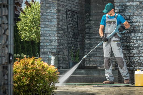 Best Sidewalk and Walkway Cleaning  in Reeds Spring, MO