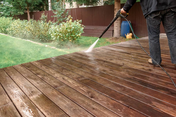 Best Soft Washing  in Reeds Spring, MO