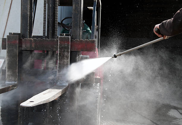 Best Roof Washing  in Reeds Spring, MO